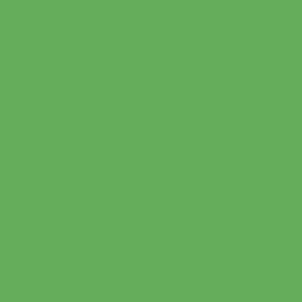 Vert oxyde de chrome